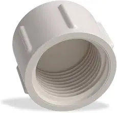 TAPON HEMBRA ROSCADO PVC 1 